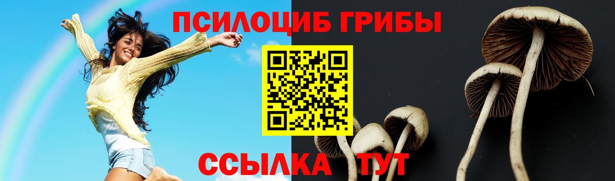 Артём  Псилоцибиновые грибы Magic Shrooms  Вход с VPN  Псилоцибиновые грибы мухоморы 